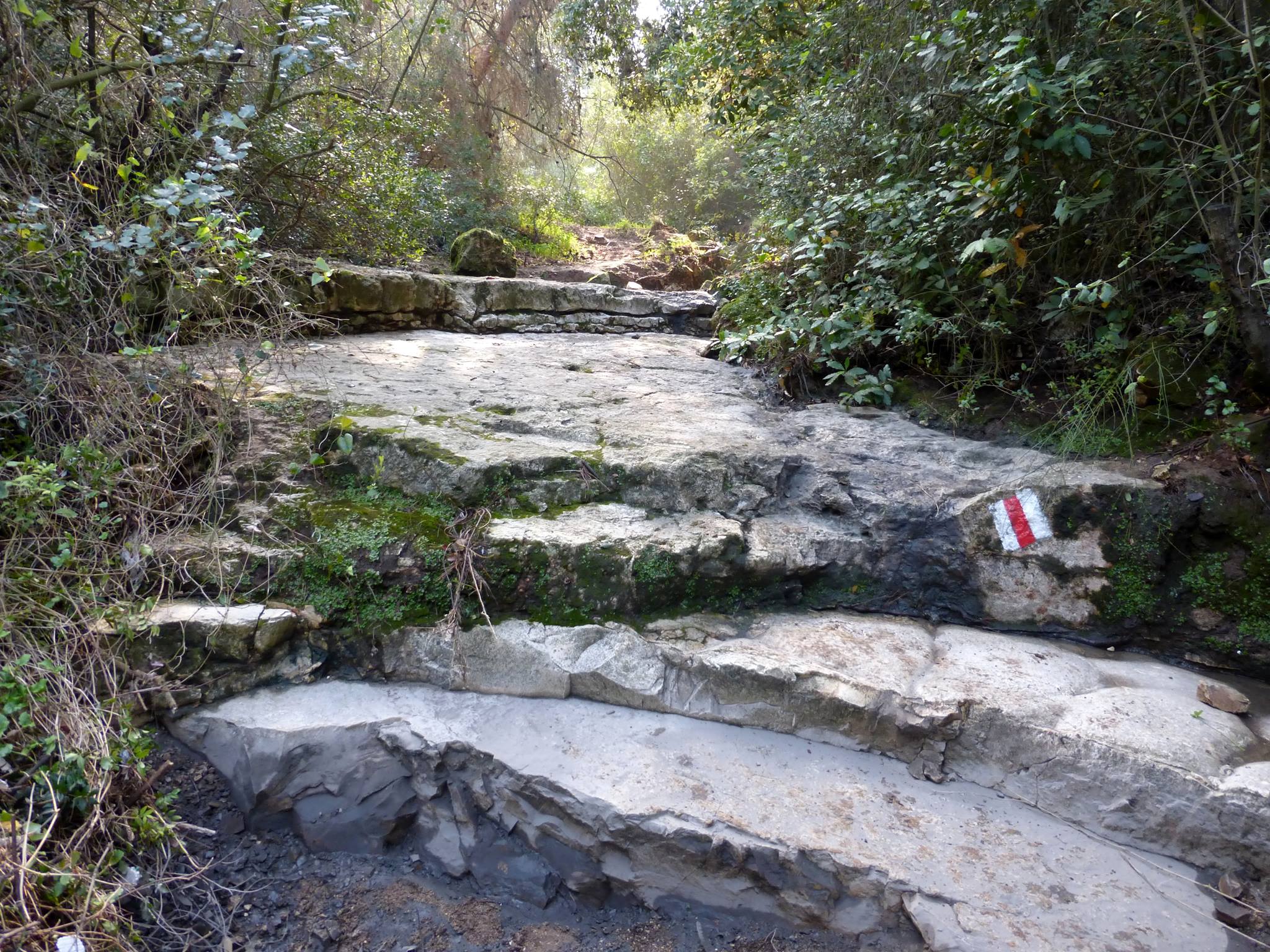 מקטע 08: ואדי זיו וגבעת השבשבת