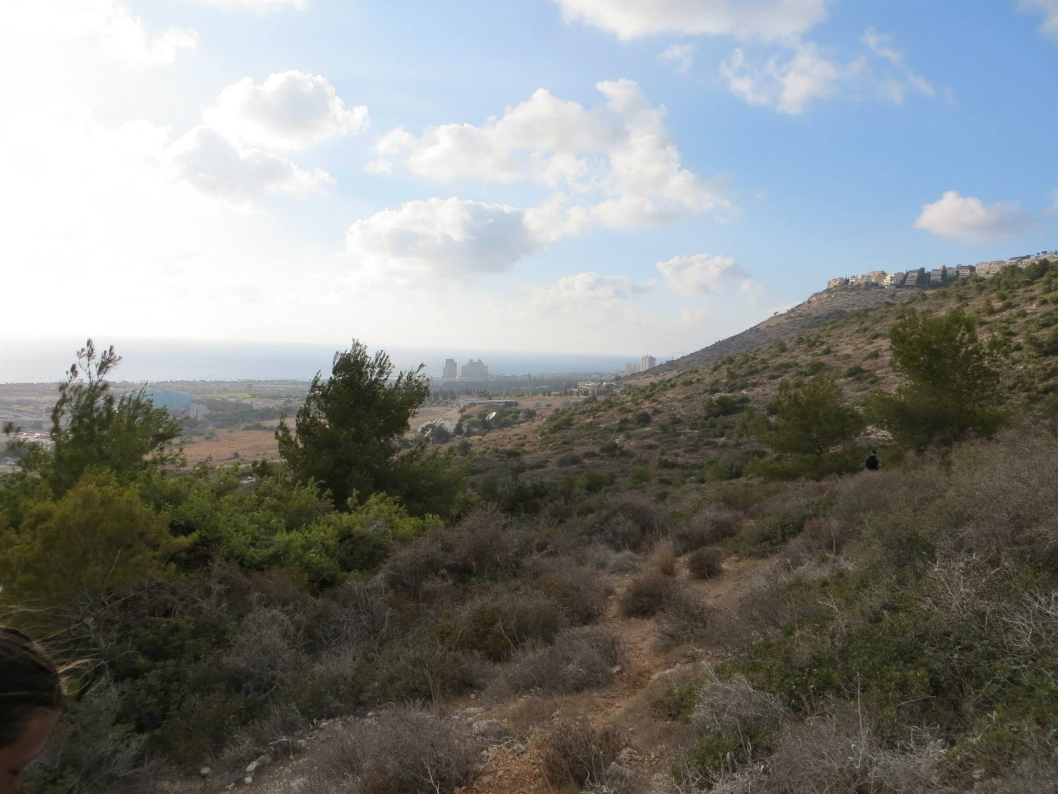 מקטע 16: ואדי אחוזה