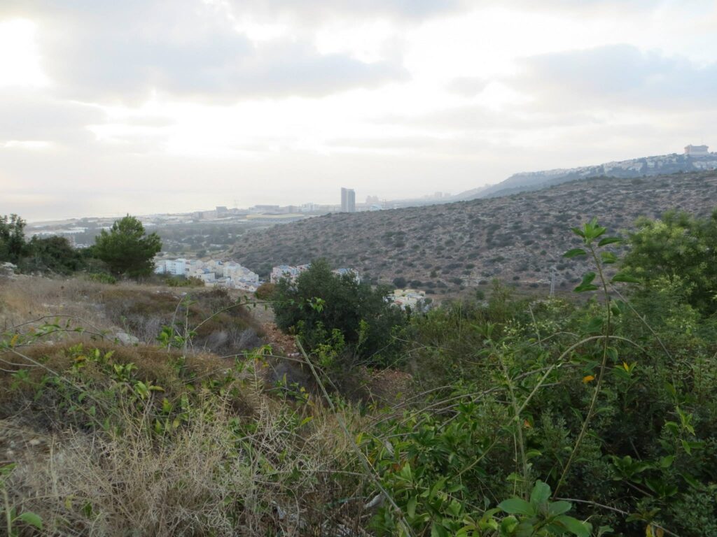 ואדי טירה