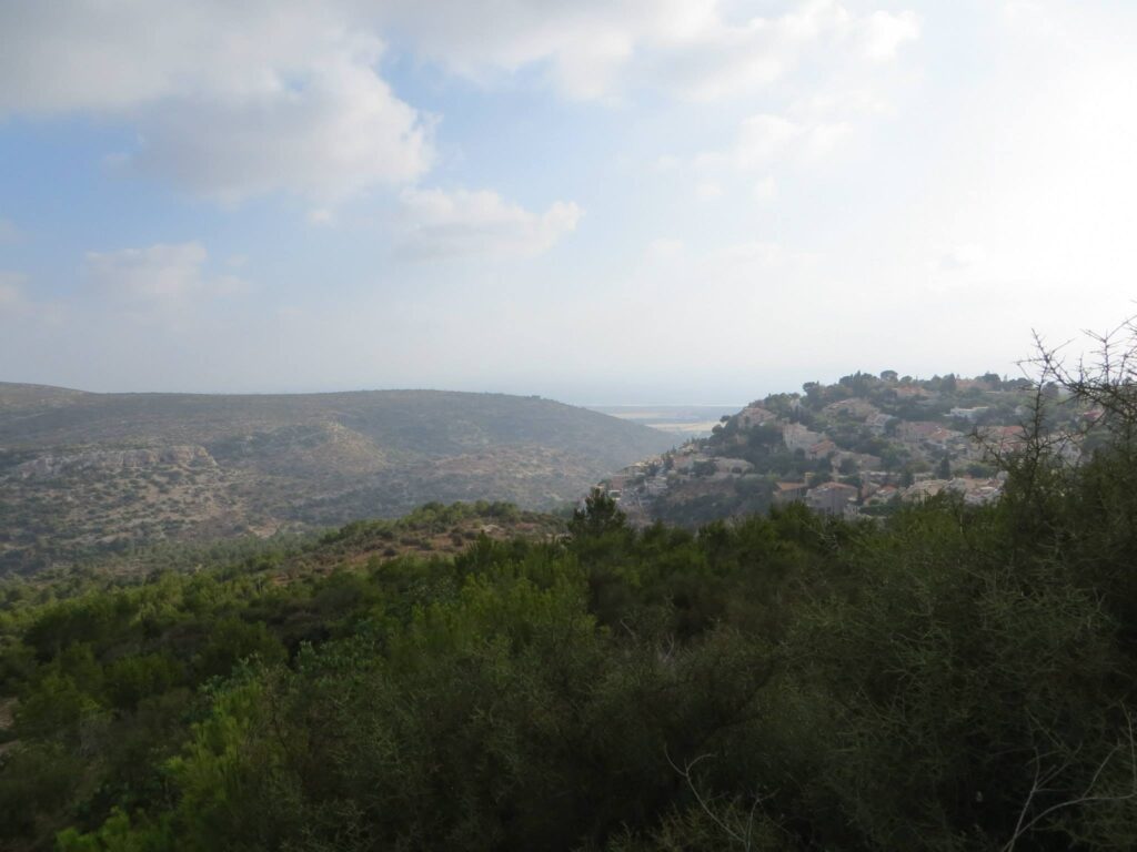 העלייה מעין קדם לדניה