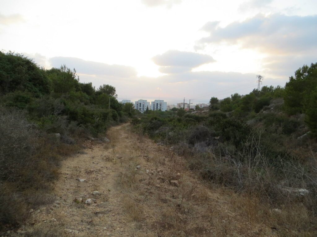 ואדי טירה