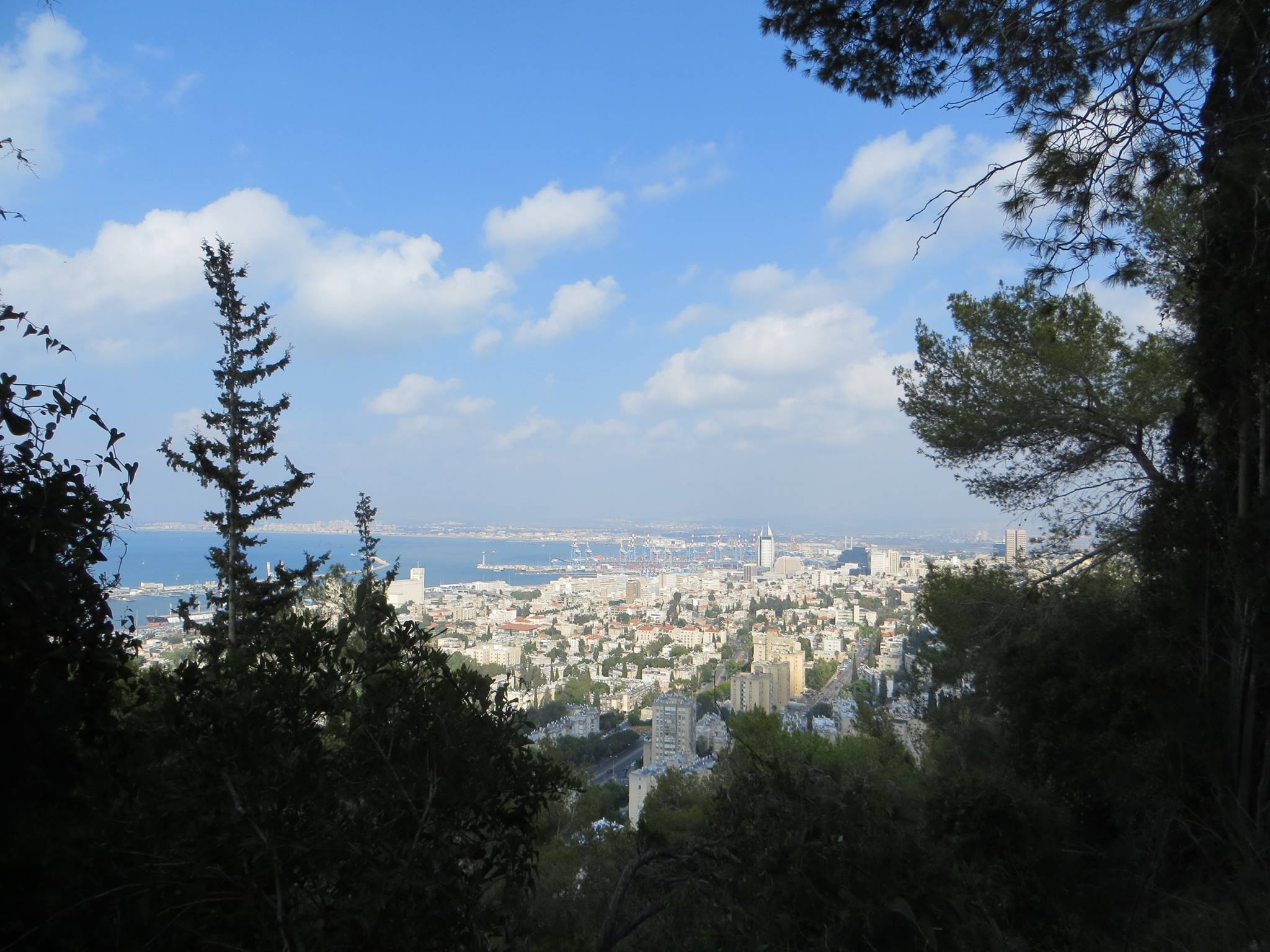 מקטע 04: יער הכרמליתים