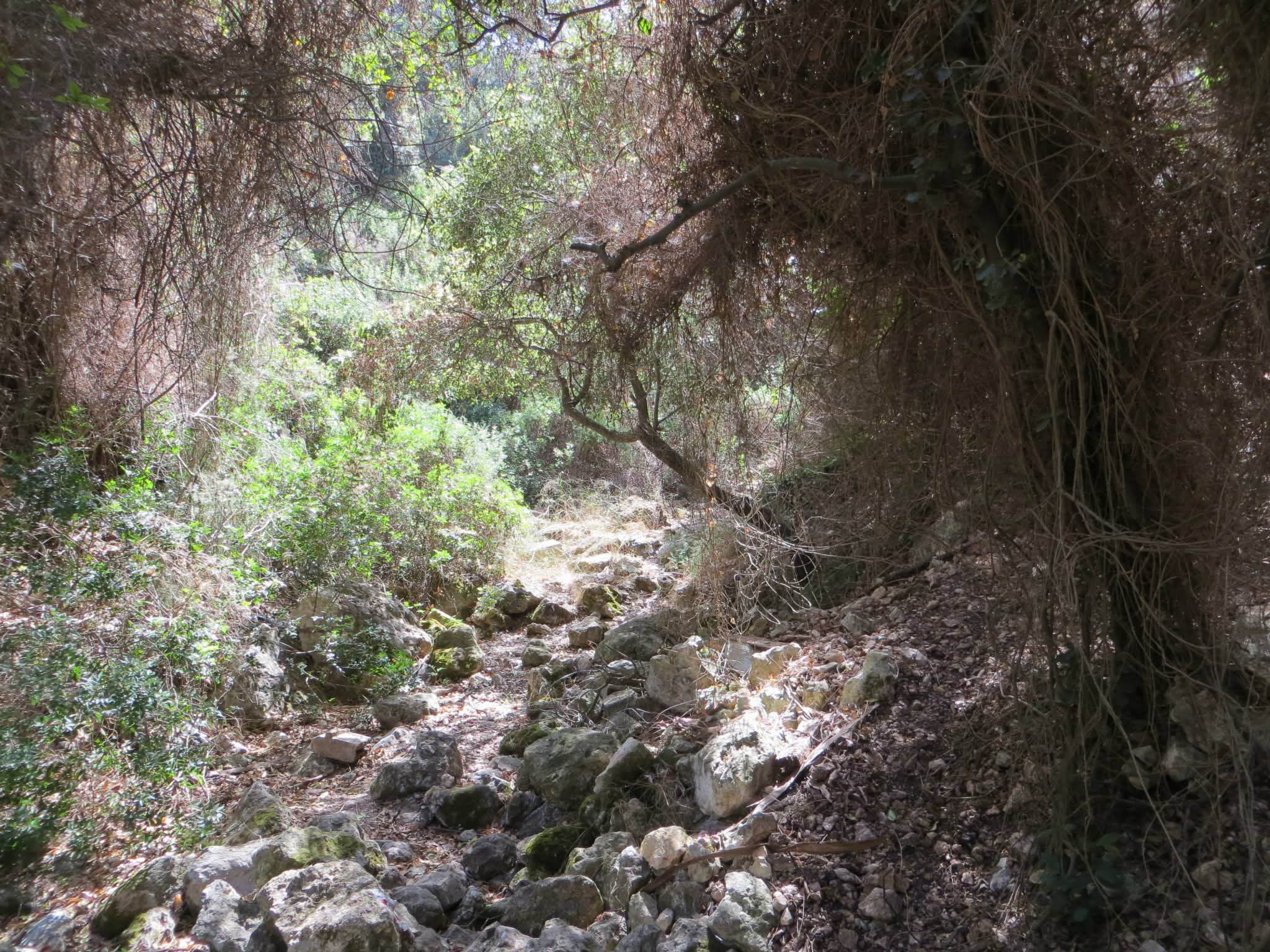 מקטע 20: ואדי עמיק
