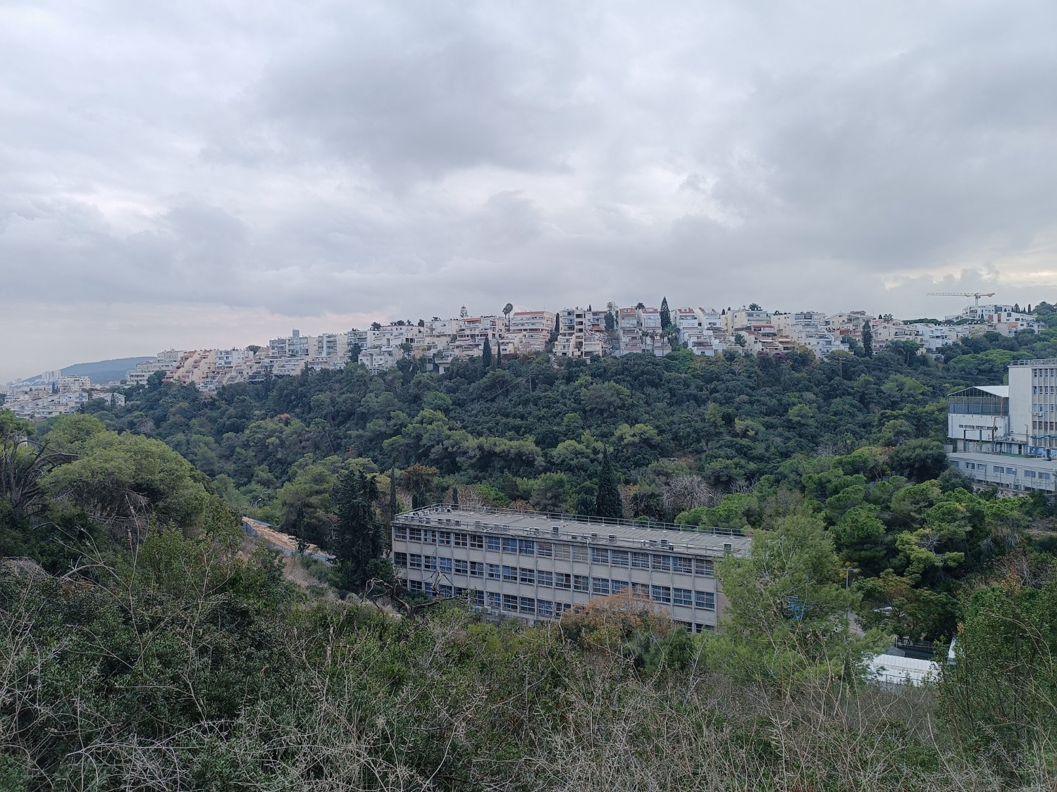 מקטע 06: ואדי אבן