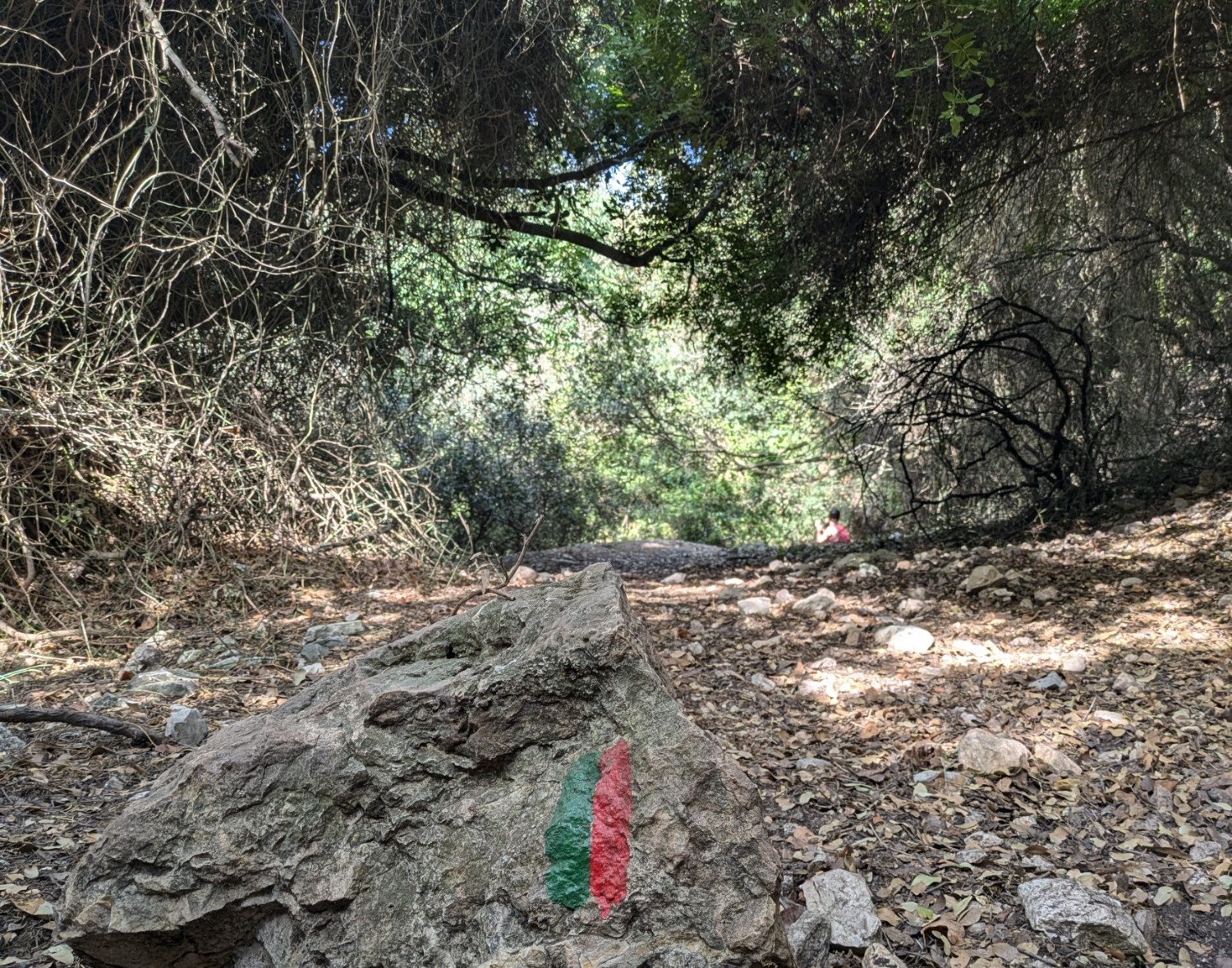 מקטע 17: ואדי אזוב