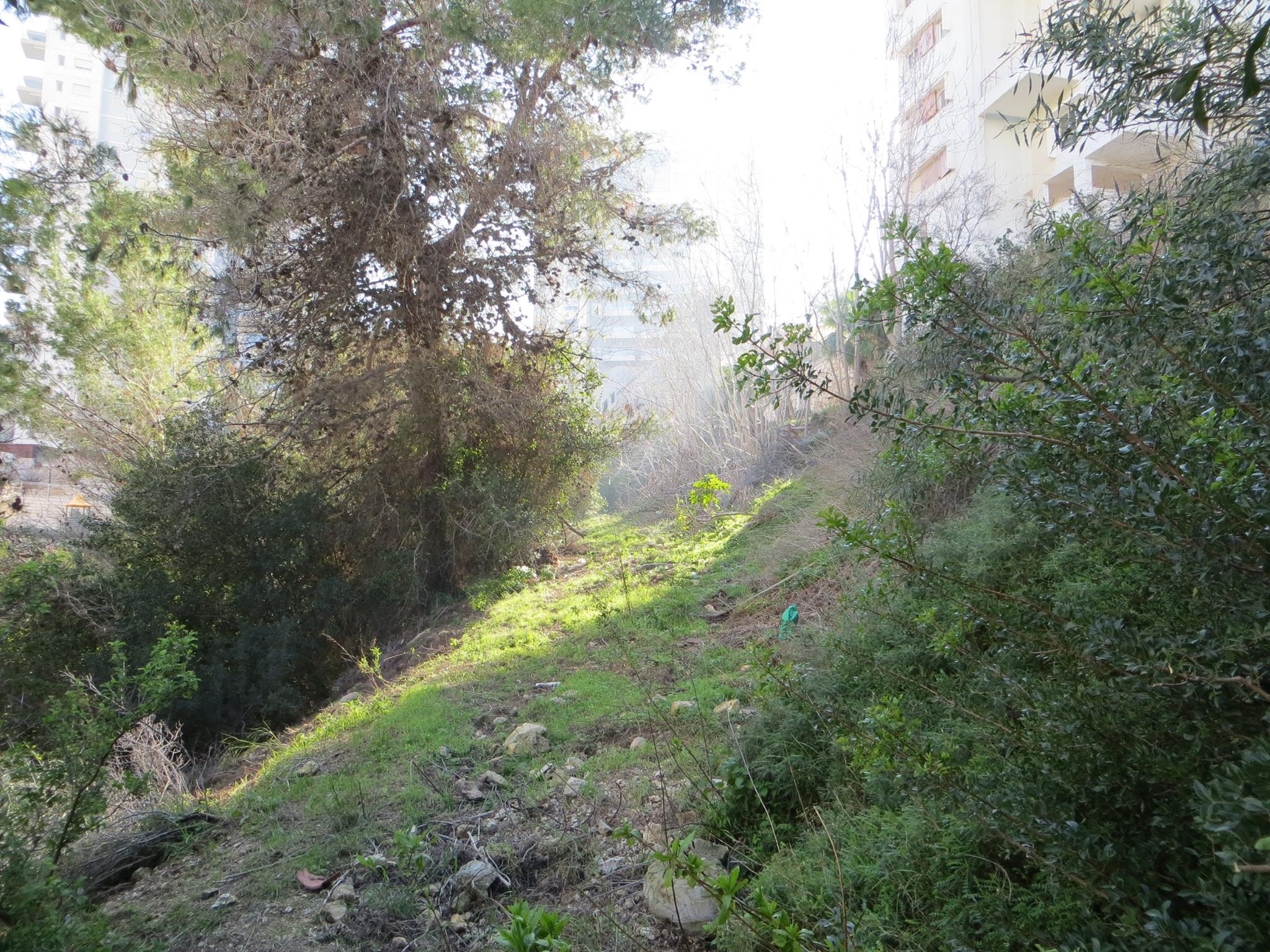 מקטע 09: ואדי בן-דור