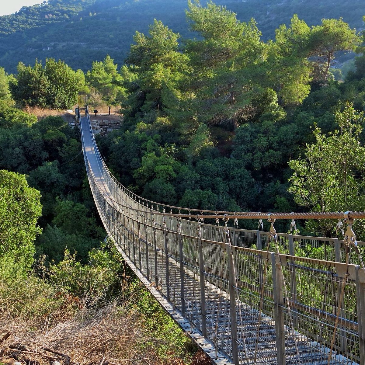 מקטע 11: פארק הגשרים