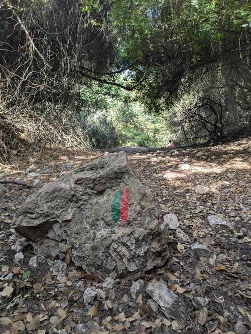 מקטע 17: ואדי אזוב